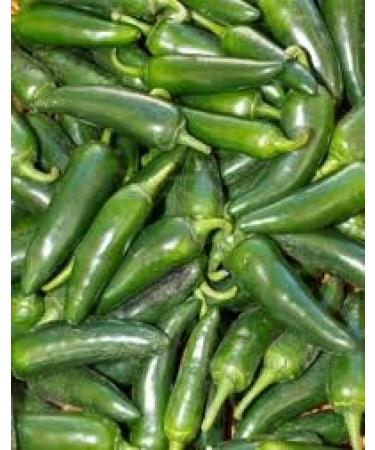 Fresh Whole Jalapenos (3 Lb)