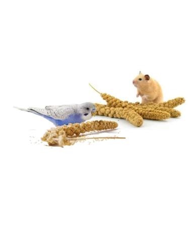 SIPW - Small Animal Hamster Caged Bird Budgie Millet Sprays Sprigs (5 x Sprays of Millet)