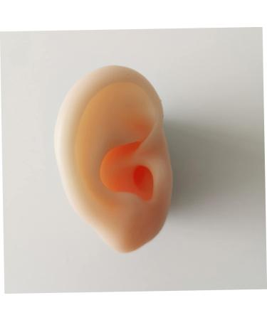 Silicone Ear Models for Practice - 1 Pair Ear Picking & Display Samples - Buy Online on SooperMarket.com