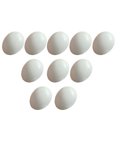 10Pcs Plastic Eggs Simulated Bird Eggs Parrot Cockatiel Eggs Bird Supplies for Racing Pigeons
