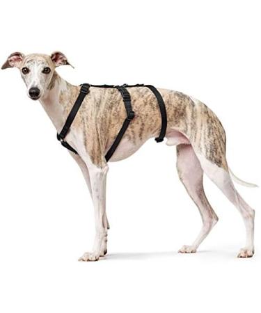 Buy HUNTER Vario Rapid Safety Harness 48-70 cm - Black | International Shipping Available - Buy Online on SooperMarket.com