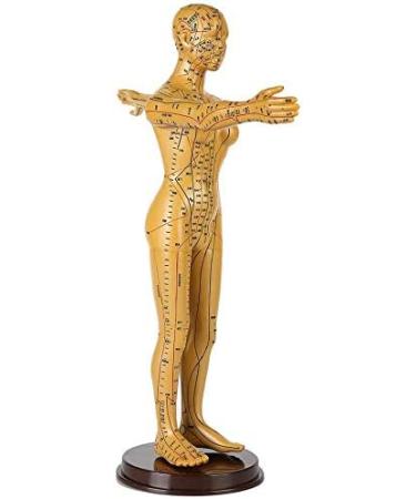 Human Female Acupuncture Anatomical Model with Acupuncture Points Bronze Color 50Cm - Buy Online on SooperMarket.com
