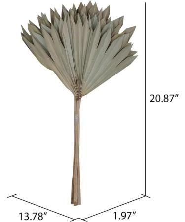 Vickerman Natural Botanicals 20" Natural Palm Sun Stem Real Preserved Foliage Stems Includes 12 Stems Per Pack - Buy Online on SooperMarket.com