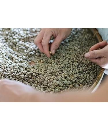 Ethiopian 2kg Green Coffee Beans For Home Roasting Yirgacheffe Green/Raw 100% Arabica Coffee Beans - Buy Online on SooperMarket.com