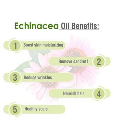 Pure Echinacea Oil 30ml | Natural Hair Care & Skin Care | Hydrate & Nourish - Buy Online on SooperMarket.com