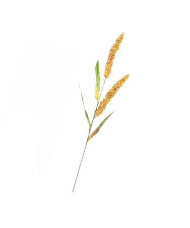 DECHOUS Simulated Ears of Corn Dry Flowers for Decoration Wheat Sheave Bundle Flower Fake Wheat Stalks Decoration for Home Decor for Home Artificial Plants Faux Plant Straw Manual Pu Golden 12X75CM