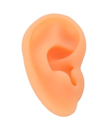 Ear Display Mould Ear Model Soft Lifelike Silicone Flexible for Hospital(Left)