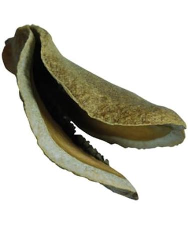 Lucky Reptile DB-01 Nature's Treasure Decor Box - Buy Online on SooperMarket.com