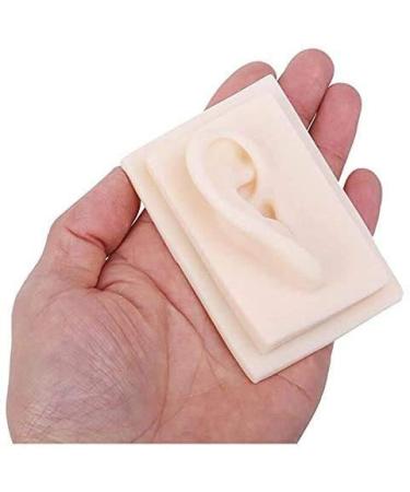 Silicone Ear Model for Educational Kit for The Acupuncture Treatment of The School Model of Human Ear Silicone-Size Natural 1 1 1 Pair