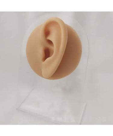 Soft Silicone Human Ear Simulation Template Jewelry Display for Earrings Suitable for Ear Lobe Drilling Exercises and Exercises - Buy Online on SooperMarket.com