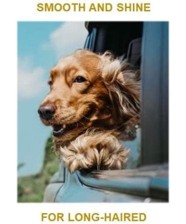 Dr Matt Shampoo & Conditioner for Dogs & Long-haired Cats - B1200 | Best for Healthy Fur & Shine - International Shipping Available - Buy Online on SooperMarket.com