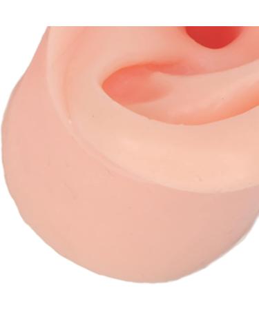 Practice Ear Model Soft Elastic Jewelry Display 1 Pair Ear Model for Beginner for Piercing Salon(Light Skin Color) - Buy Online on SooperMarket.com