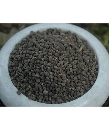 Krauterino24 - Abelmoschus seeds whole quantity: 250g