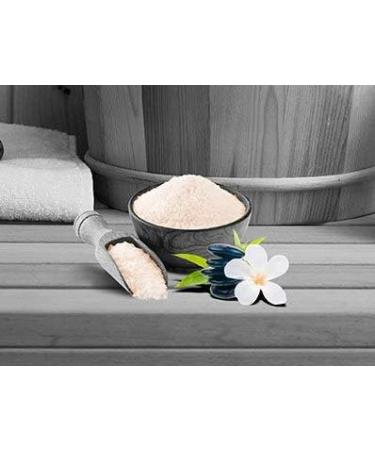Frankonia Bath & Spa Sauna Salz Peeling - Deep Pacific 400g | Vegan Meersalz Body Scrub with Jojoba Oil & Vitamin E - Paraben-Free Shower & Body Peeling for All Skin Types - Buy Online on SooperMarket.com