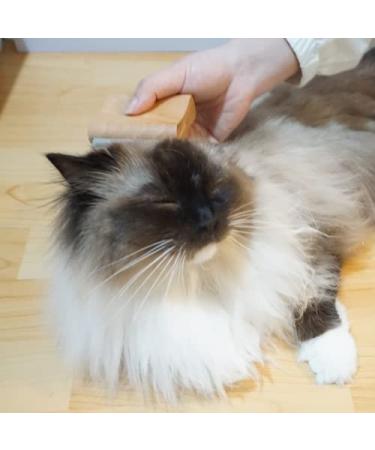 Disadriculation Brush for Dogs Cats Horses & Goats | Small 3-Inch Tool for Underfell Scales & Flakes Removal - Essential Grooming for Pets & Farm Animals - Buy Online on SooperMarket.com
