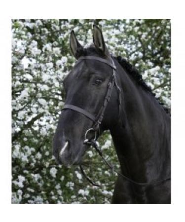Riving World Bridon French noseband yellow brown horse