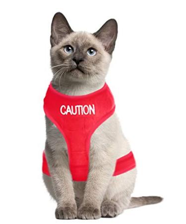 Dexil Colour Coded Cat Harness Warning Alert Vest Padded and Water Resistant Red CAUTION (S-M) Small-Medium Red CAUTION