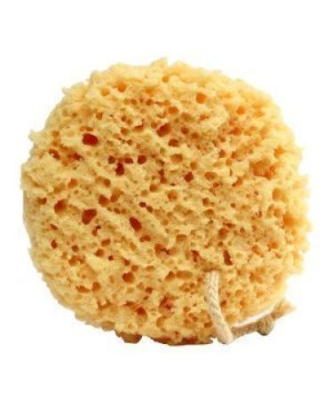 Foam Bath Sponge - 2 COUNT