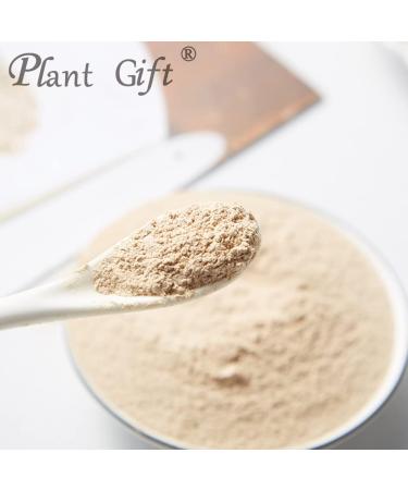 100% Pure Mushroom Powder - Natural Mushroom Flour | Non-GMO, No Fillers or Additives | 100g/3.25oz - Perfect Plant Gift for Enhanced Flavor and Taste - Buy Online on SooperMarket.com
