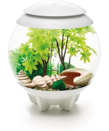 Buy Biorb 55026 Decor Set 15L - Realistic Artificial Aquatic Plants Roots & Stones for Freshwater & Saltwater Aquariums - Perfect Summer Decoration - Buy Online on SooperMarket.com