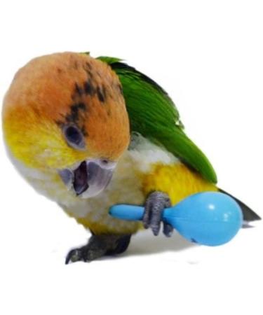 WACURRENTHYD 3PCS- Colourful Mini Ball Sand Hammer Parrot Rattle Shaker Musical Sound Toy Intelligent Sand Hammer Toys for Parakeets Canaries Cockatiels Conure Lovebirds(Random Color) - Buy Online on SooperMarket.com