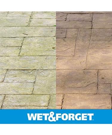 Wet And Forget-Wet & Forget Gal Moss Mold & Mildew Stain Remover - Buy Online on SooperMarket.com