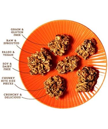Lark Ellen Farm Organic Paleo Granola Bites - Cacao Cherry 8 oz (Pack of 3) - Buy Online on SooperMarket.com