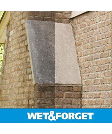 Buy Wet & Forget Moss & Mold Remover - Multi-Surface Outdoor Cleaner Concentrate (64 oz 2 Pack) - Effective Algae Stain Solution | Fast International Shipping - Buy Online on SooperMarket.com