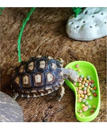 LSTCPGLAI 2 Pieces Shallow Reptile plate Reptile Food Water Bowl Used for Tortoise Corn Snake Crawl Pet Drinking and Eating(Green) - Buy Online on SooperMarket.com