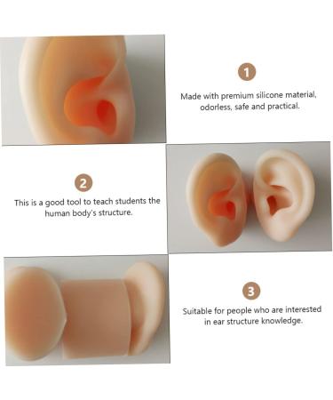 Silicone Ear Models for Ear Picking and Display - 1 Pair - Buy Online on SooperMarket.com