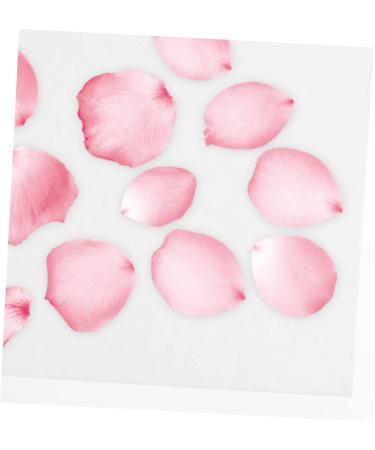 FRCOLOR Dried Flower Blotting Paper Set - Embossed Perforated Specimen Boards for Herbarium, White Flowers Paper - 4pcs 20x15cm - Buy Online on SooperMarket.com