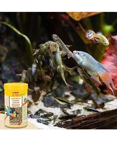 Sera O-Nip Nature 100ml - High-Usability Fish Feed with 7% Krill | Premium Adhesive Tablets for Healthy Aquarium Variety | 60g Pack - Buy Online on SooperMarket.com