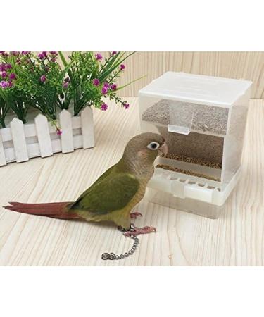 Hypeety Automatic Bird Feeder: No Mess Seed Food Container for Budgerigar, Canary, Cockatiel, Finch, Parakeet - Cage Accessories - Buy Online on SooperMarket.com