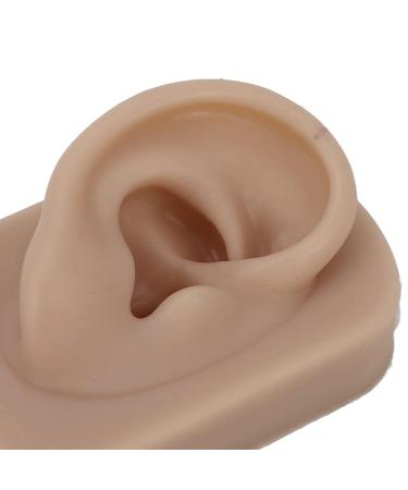 Reusable Human Ear Model - Right Ear for Piercing Training & Display (Brown) - Buy Online on SooperMarket.com