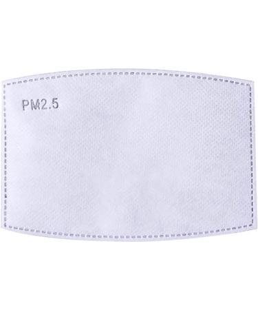 100 PM 2.5 Face Mask Filters - 5 Layer Activated Charcoal Filters for Washable Masks | International Shipping Available - Buy Online on SooperMarket.com