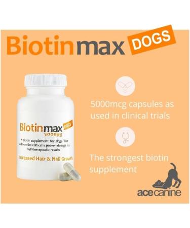 BiotinMax Vitamin Supplement for Dogs Coat & Skin Care Strongest Clinical Strength Biotin 5000 g 100 Capsules - Buy Online on SooperMarket.com
