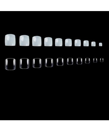 No LIFE 1000PCs fake toenail tips set full cover false toenail tips for DIY nail art design & manicure studios nature + clear color 10 sizes clear & natural (1000PCs)