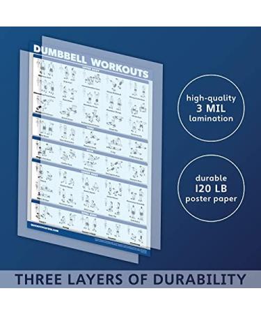 Quickfit Dumbbell & Barbell Training Poster Set - Laminated 18x27 | International Shipping Available - Buy Online on SooperMarket.com