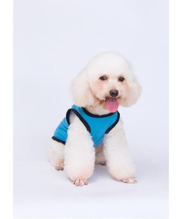 3-Pack Printed Dog Clothing - Princess & Prince T-Shirts for Small to Medium Dogs | Cute Pet Costumes (Blue XL) - Buy Online on SooperMarket.com