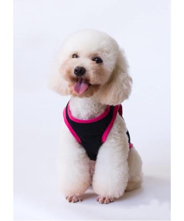 3-Pack Dog Clothing | Princess & Prince T-Shirts for Cats & Small to Medium Dogs - Cute Costumes - Buy Online on SooperMarket.com