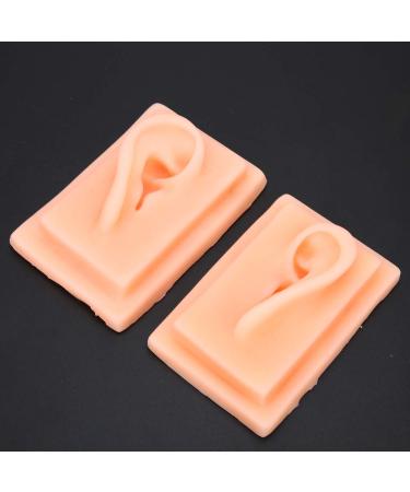 Ear Model Silicone Ear Model Acupuncture Practice Human Soft Teaching Left Right Ear Model