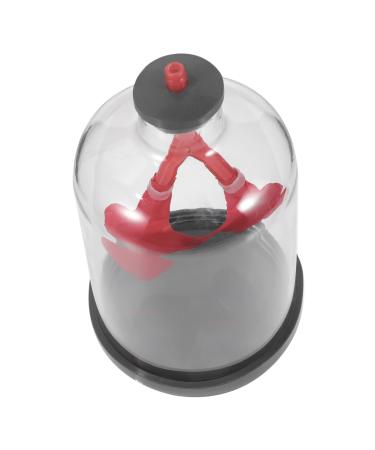 Healifty Lung Breathing Model Sports Work Teaching Aids Plastic Rubber