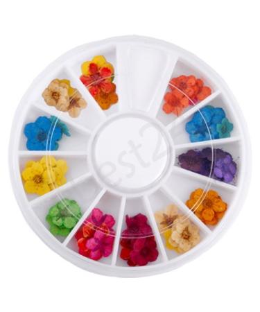 Nail Art Dried Artificial Flowers | 12 Vibrant Colors for Stunning Nail Designs - Shop Internationally - Buy Online on SooperMarket.com