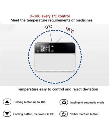 Portable Insulin Cooler Refrigerator Box Mini Insulin Car Refrigerator Keeps Medication Cooler Long Working Time for 8 Hours for Traveling Outdoors Camping Work - Buy Online on SooperMarket.com
