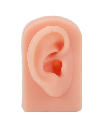 Soft & Flexible Reusable Human Ear Model - Simulated Right Ear for Acupuncture Training - Buy Online on SooperMarket.com