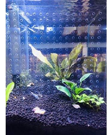 Acrylic 10 Gallon Aquarium Divider Isolation Board with Suction Cups - Buy Online on SooperMarket.com