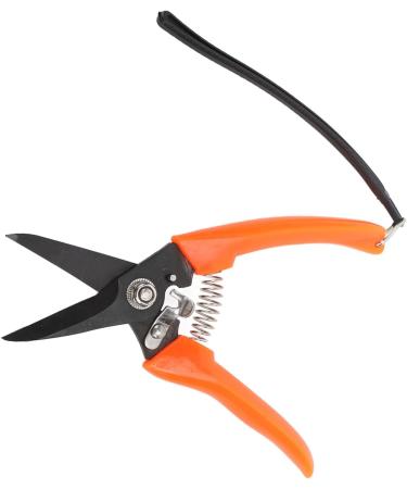 Buy High Carbon Stainless Steel Hoof Shears for Goats | Safe & Durable - International Shipping - Buy Online on SooperMarket.com