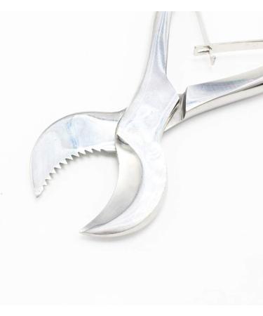 Dental Pliers Plaster Nippers Cutter - Cow Horn Jaws, Serrated Blade, Spring Action (Large) - Hbmol - Buy Online on SooperMarket.com