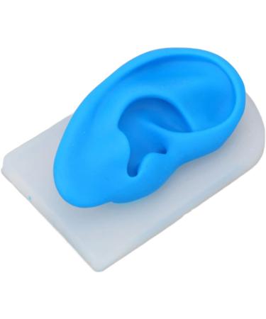 Flexible Silicone Ear Model for Hearing Amplifier Display - Professional Student Tool - Buy Online on SooperMarket.com
