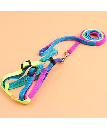 Hypeety Rainbow Design Pet Bird Harness & Leash | Outdoor Anti-Bite Training Rope for Macaw & Large Birds | Adjustable & Safe Parrot Leash (L 1.5cm 47.24in) - Buy Online on SooperMarket.com